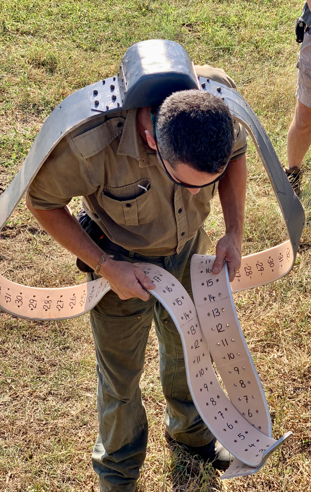 Elephant tracking collar